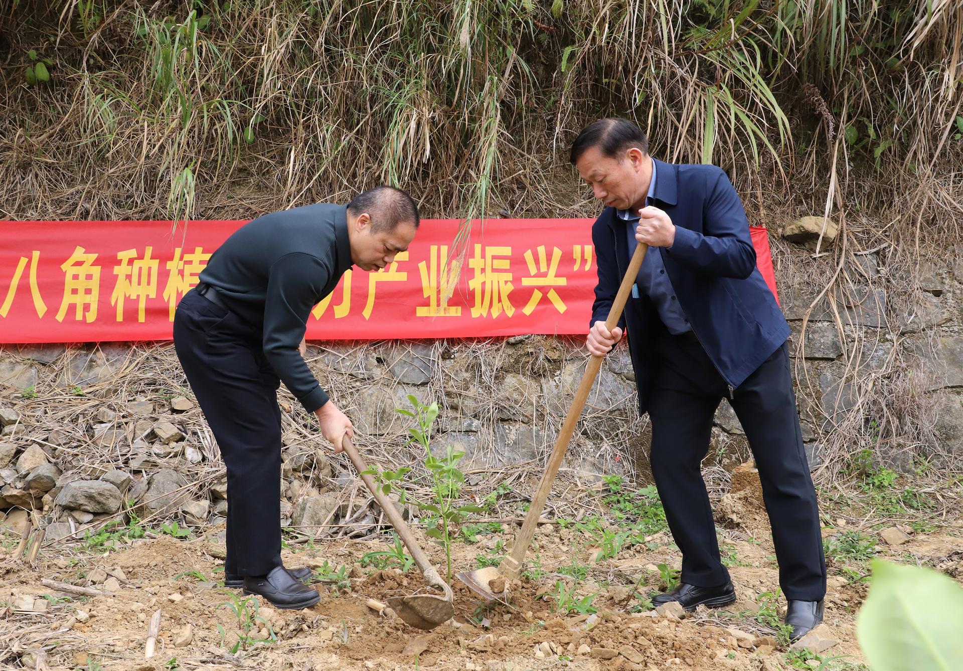 六盒宝典香港版下载