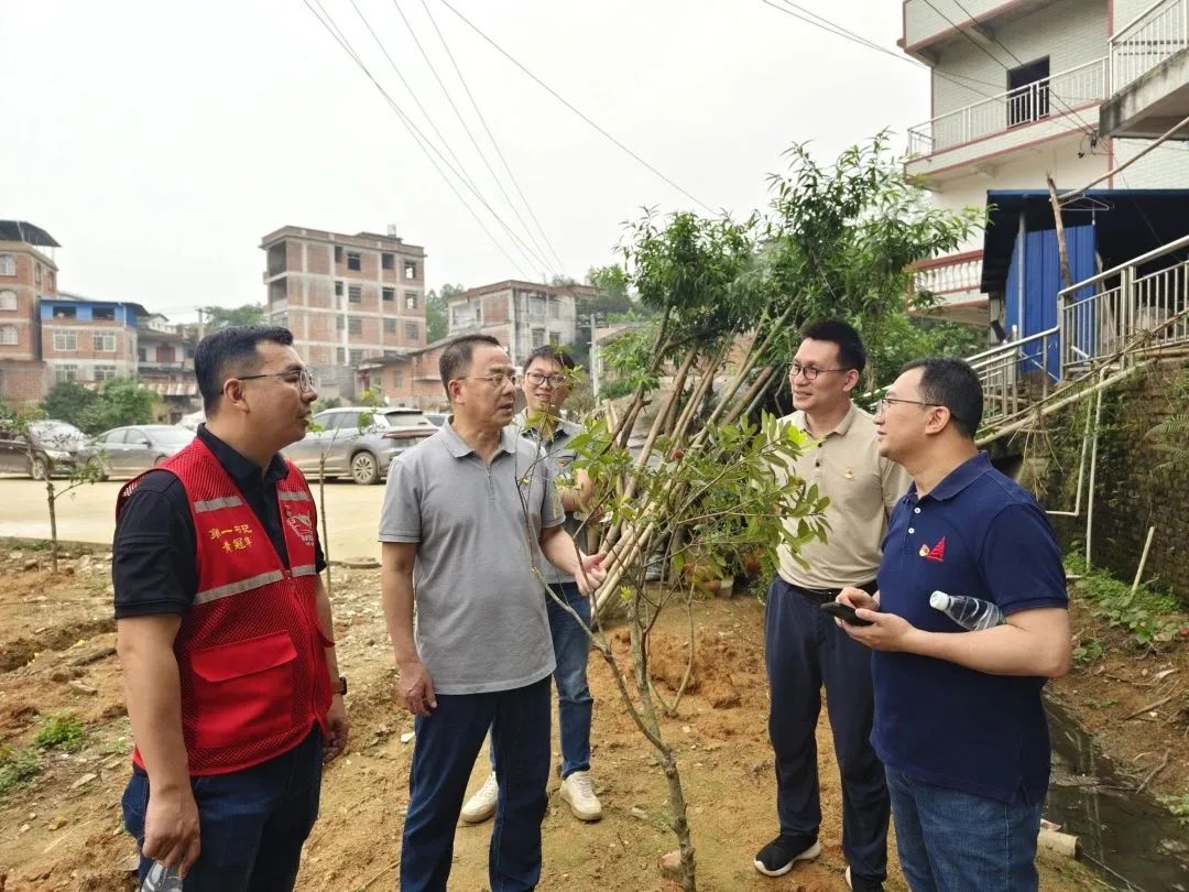 六盒宝典香港版下载