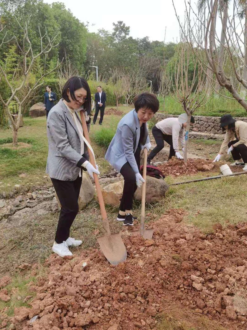 六盒宝典香港版下载