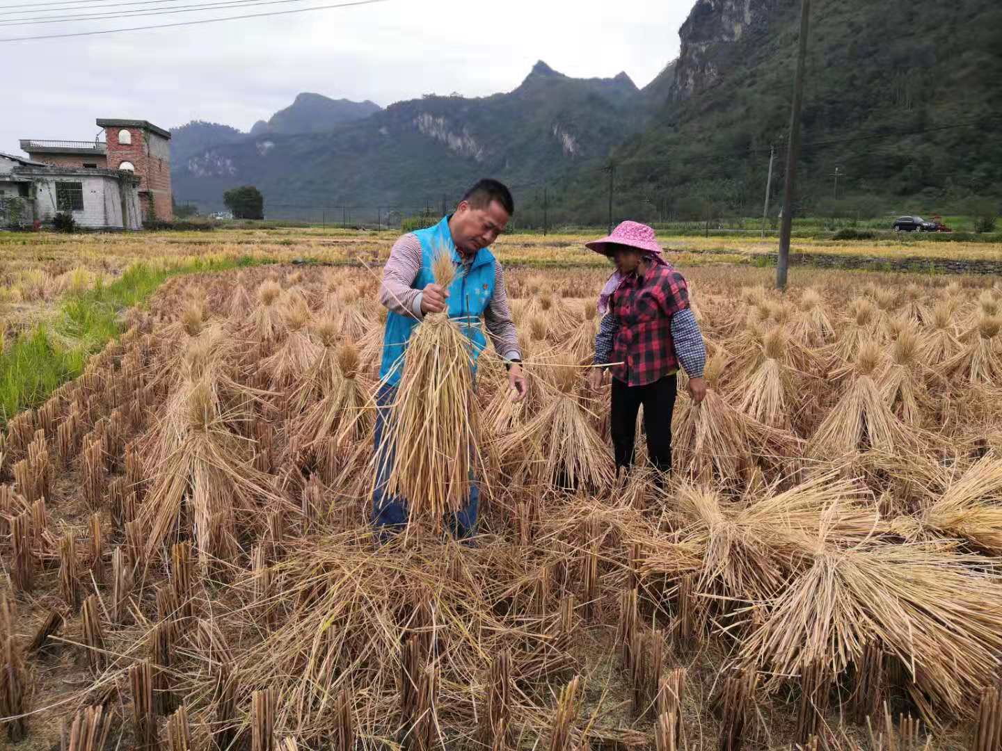 六盒宝典香港版下载