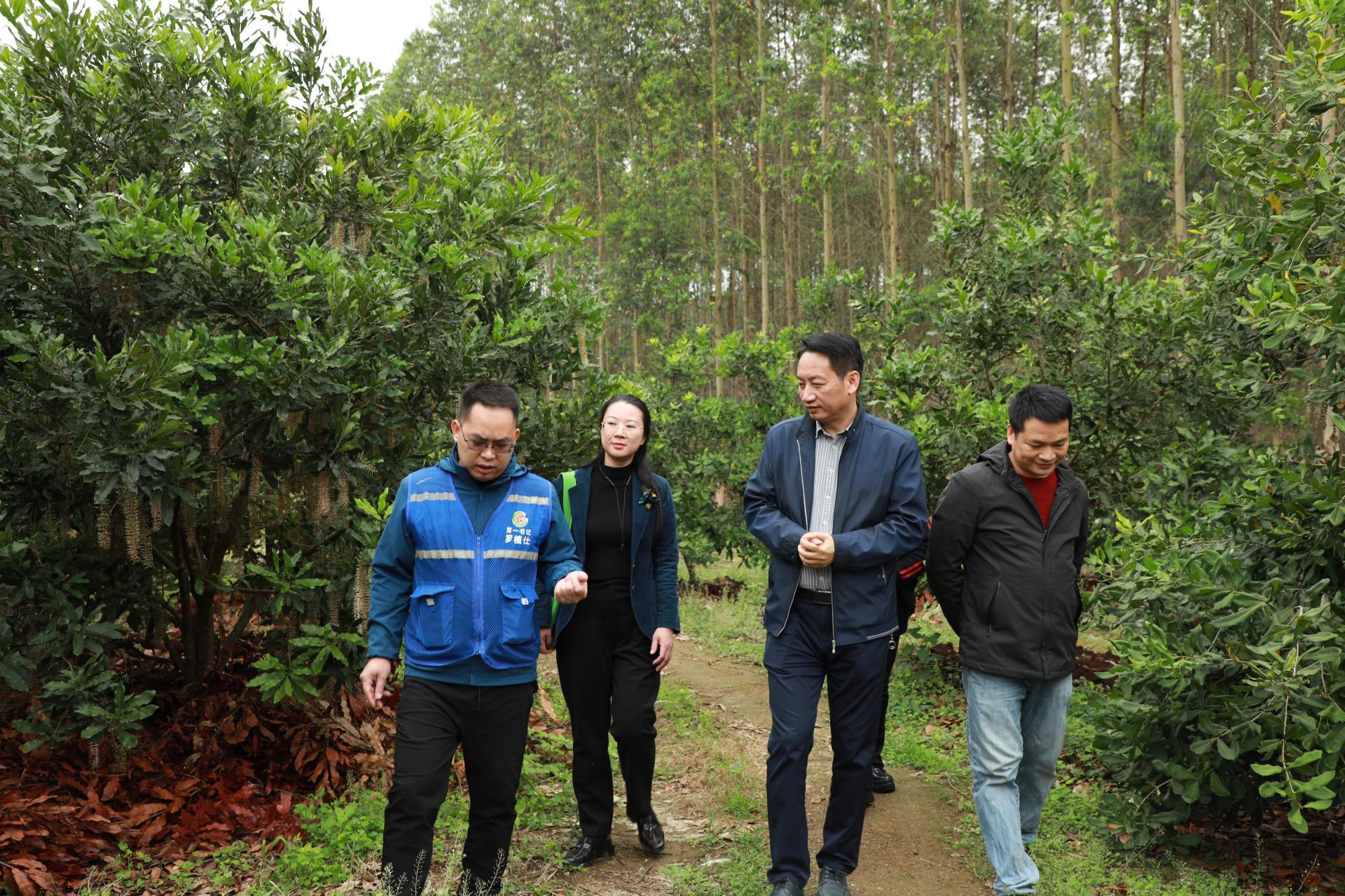 六盒宝典香港版下载